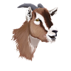 Goat Head