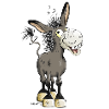Smiling Donkey