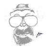 Chimpanzee with joint