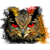 hibou