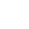 The boxer