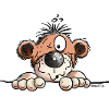 Funny Monkey