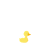 Ce que le canard