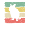 Degu