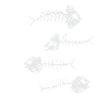 Fisch Skelett Fischgräten Halloween