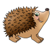 Friendly hedgehog