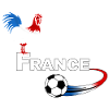 football france 08