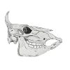 Cattleskull