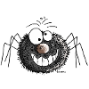 Funny spider