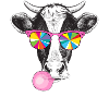 Cool Cow Gum