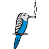 wellensittich joint kiffen