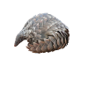 Pangolin - Save the Pangolin