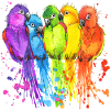 Parrot birds parrot