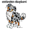 Sweet Australian Shepherd