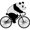 Panda Bicycle