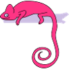 chameleon b
