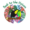 Toucan, exotic bird