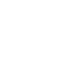 Flocon de Neige