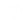 oiseaux