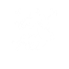 oiseaux
