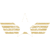 Captain Pilot Wings Star