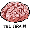 THE BRAIN