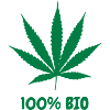 Cannabis / Haschich / Marijuana / Reggae / Rasta