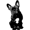 Dog French Bulldog Gift Idea