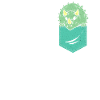 Triceratops