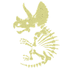 Triceratops
