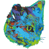 cat, cat, illustration, graffiti, cat,