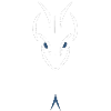 python head