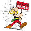 Asterix - Go Gaul!