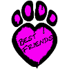 Paw Print