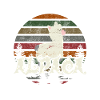 Alpaca baby alpaca child