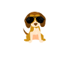 beagle