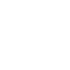 THE FUTURE IS VEGAN