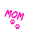Samoyed mom