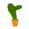 Cactus dabbing