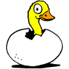 Yellow duck egg t-shirt