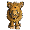 Wild boar