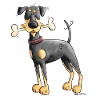 Dobermann Oder Pinscher mit Knochen