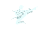Karate karateka