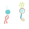 Result of Evolution Biology