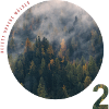 Save our forests