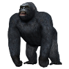Gorilla in threatening pose