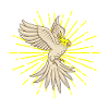 COCKATIEL IN FLIGHT Bird Gift