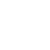 little whale - white