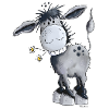 Funny Donkey