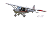 C42 ultralight aircraft